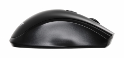 Мышь Acer OMR030 черный беспроводная 