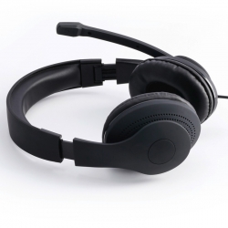 Наушники с микрофоном Hama HS-P200 черный 2м мониторные оголовье (00139923)