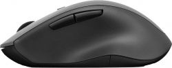 Мышь Lenovo ThinkBook черный беспроводная