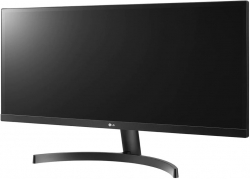 Монитор LG 29WL50S-B черный