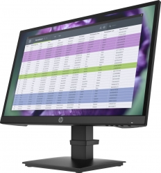 Монитор HP P22h G4 черный