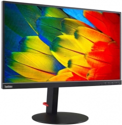 Монитор Lenovo ThinkVision T24m-10 черный
