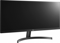 Монитор LG 29WL500-B (29WL500-B.ARUZ) черный