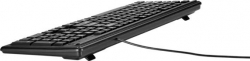 Клавиатура HP 100 черный USB