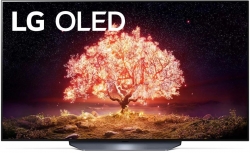 Телевизор OLED LG OLED55B1RLA серебристый