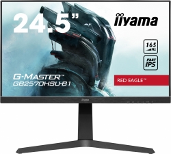 Монитор Iiyama G-Master GB2570HSU-B1 черный