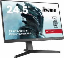 Монитор Iiyama G-Master GB2570HSU-B1 черный