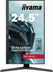 Монитор Iiyama G-Master GB2570HSU-B1 черный