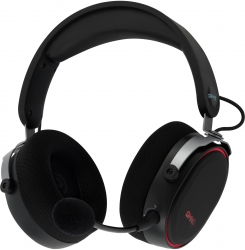 Наушники с микрофоном Оклик HS-L990G черный 1.5м мониторные Radio оголовье (WGH-103)