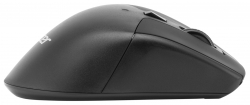 Мышь Acer OMR150 черный беспроводная