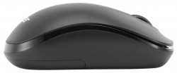 Мышь Acer OMR160 черный беспроводная