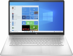 Ноутбук HP 17-cp0099ur Ryzen 3 3250U 8Gb SSD512Gb AMD Radeon 17.3 SVA HD+ 1600x900 Windows 10 silver WiFi BT Cam