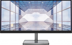 Монитор Lenovo L29w-30 черный