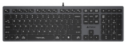 Клавиатура A4Tech Fstyler FX50 серый USB slim Multimedia