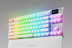 Клавиатура Steelseries Apex 7 TKL-Ghost RU механическая белый USB Multimedia for gamer LED (подставка для запястий)