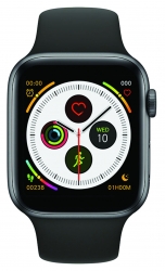 Смарт-часы Digma Smartline T5 1.54 TFT черный (T5B)