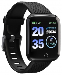 Смарт-часы Digma Smartline H2 1.3 TFT черный (H2B)