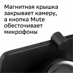 Смарт-дисплей Sber SberPortal черный (SBDV-00010)