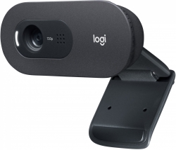 Камера Web Logitech WebCam C505e черный 1.2Mpix (1280x720) USB2.0 с микрофоном для ноутбука