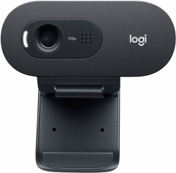 Камера Web Logitech WebCam C505e черный 1.2Mpix (1280x720) USB2.0 с микрофоном для ноутбука