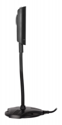 Камера Web A4Tech PK-810G черный 0.3Mpix (640x480) USB2.0 с микрофоном