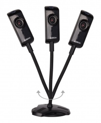Камера Web A4Tech PK-810G черный 0.3Mpix (640x480) USB2.0 с микрофоном