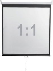 Экран 240x240см Digis Optimal-D DSOD-1107 1:1 настенно-потолочный рулонный
