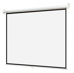 Экран 220x220см Digis Optimal-B DSOB-1105 1:1 настенно-потолочный рулонный