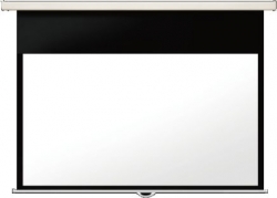Экран Lumien 247x239см Master Picture LMP-100118CSR 1:1 настенно-потолочный рулонный