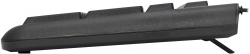 Клавиатура SunWind SW-KB200 for business черный USB