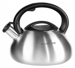 Чайник металлический Galaxy Line GL 9212 3л. стальной (ГЛ9212Л)