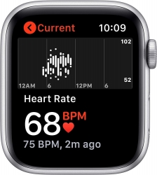 Смарт-часы Apple Watch SE A2352 44мм OLED LTPO серебристый (MYDQ2B/A)