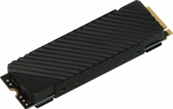 Накопитель SSD Digma PCI-E 4.0 x4 1Tb DGST4001TG33T Top G3 M.2 2280