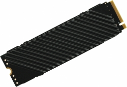 Накопитель SSD Digma 2Tb DGST4002TG33T M.2