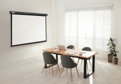 Экран Cactus 180x180см Wallscreen CS-PSW-180X180-SG 1:1 настенно-потолочный рулонный серый