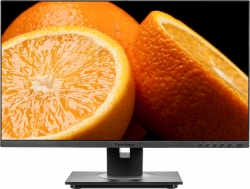 Монитор ViewSonic 23.8 VG2455 черный IPS LED 5ms 16:9 HDMI M/M матовая HAS Pivot 250cd 178гр/178гр 1920x1080 D-Sub DisplayPort FHD USB 6.4кг