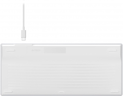 Клавиатура A4Tech Fstyler FX61 белый/синий