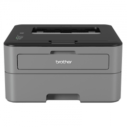 Принтер лазерный Brother HL-L2300DR (HLL2300DR1) A4 Duplex