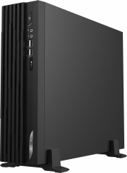 Неттоп MSI Pro DP130 11-480RU PG G6405 (4.1) 4Gb SSD128Gb UHDG 610 Windows 11 Professional GbitEth WiFi BT 120W черный