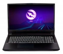 Ноутбук Hiper G16 Core i7 11700 32Gb SSD2Tb NVIDIA GeForce RTX 3070 8Gb 16.1 IPS FHD (1920x1080) Windows 11 Professional black WiFi BT Cam 5040mAh (G