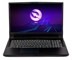 Ноутбук Hiper G16 Core i5 10400 16Gb SSD1Tb NVIDIA GeForce RTX 3070 8Gb 16.1 IPS FHD (1920x1080) Linux black WiFi BT Cam 5040mAh (G16RTX3070B10400LX)