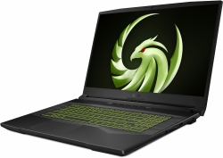 Ноутбук MSI Alpha 17 B5EEK-040XRU Ryzen 9 5900HX 16Gb SSD512Gb AMD Radeon Rx 6600M 8Gb 17.3 IPS FHD (1920x1080) Free DOS black WiFi BT Cam (9S7-17LL1