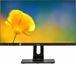 Монитор Iiyama 23.8 ProLite XUB2492HSN-B1 черный IPS LED 16:9 HDMI M/M матовая HAS Piv 250cd 178гр/178гр 1920x1080 DP FHD USB 5.4кг