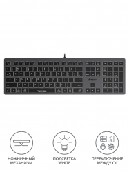 Клавиатура A4Tech Fstyler FX60 серый USB slim LED (FX60 GREY / WHITE)