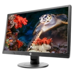 Монитор HP ProDisplay V214a черный