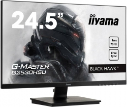 Монитор Iiyama G-Master G2530HSU-B1 черный