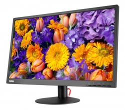 Монитор Lenovo 23.8 ThinkVision E24-10 черный IPS 6ms 16:9 1000:1 250cd 178гр/178гр 1920x1080 D-Sub DisplayPort
