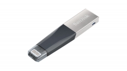 Флеш Диск Sandisk 64Gb iXpand Mini SDIX40N-064G-GN6NN USB3.0 черный/серебристый