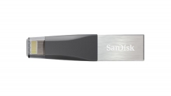 Флеш Диск Sandisk 128Gb iXpand Mini SDIX40N-128G-GN6NE USB3.0 черный/серебристый