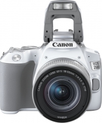 Зеркальный Фотоаппарат Canon EOS 250D белый 24.1Mpix EF-S 18-55mm f/1:4-5.6 IS STM 3 4K Full HD SDXC Li-ion